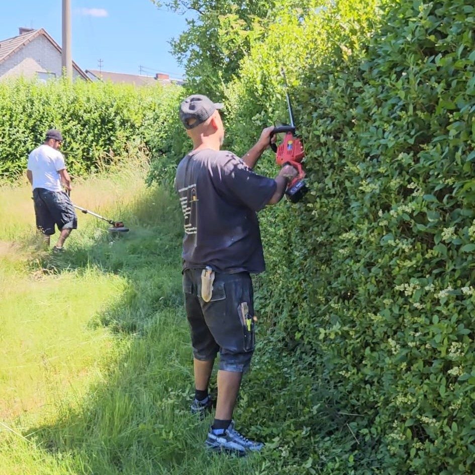 Professioneller Heckenschnitt und Gartenpflege